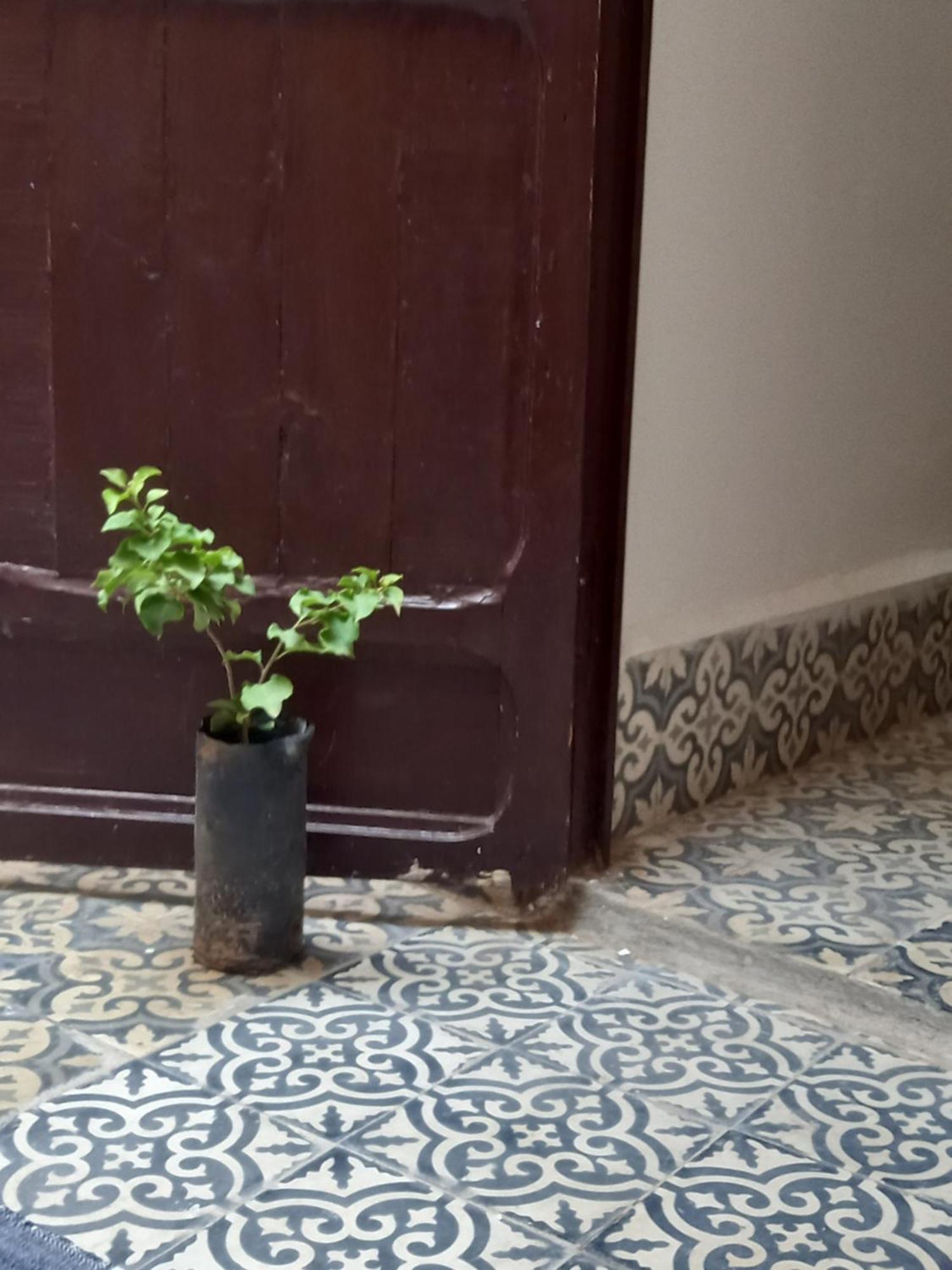 Juli'S Bed and Breakfast Marrakesh Buitenkant foto